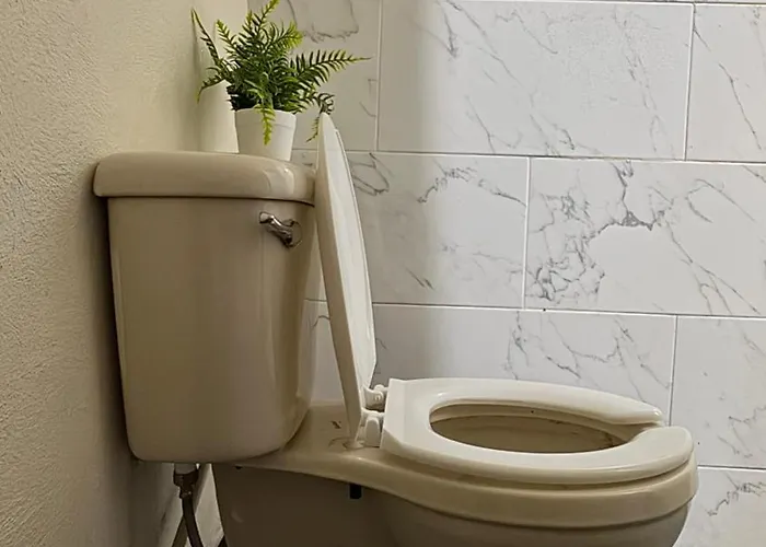 Privada En Condesa Ideal 1 Persona Bano Semiprivado